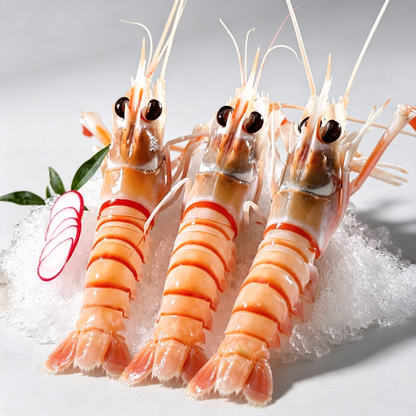 Premium New Zealand Scampi (Deep Sea Lobster)