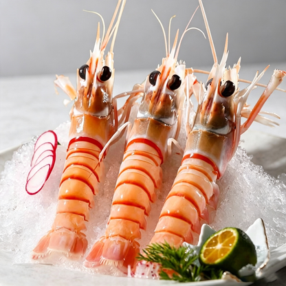 Premium New Zealand Scampi (Deep Sea Lobster)