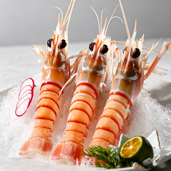 New Zealand Scampi