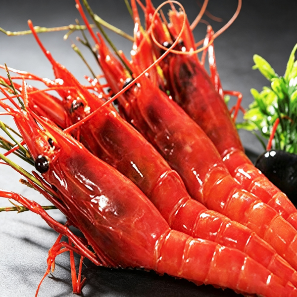 Red Magic Shrimp